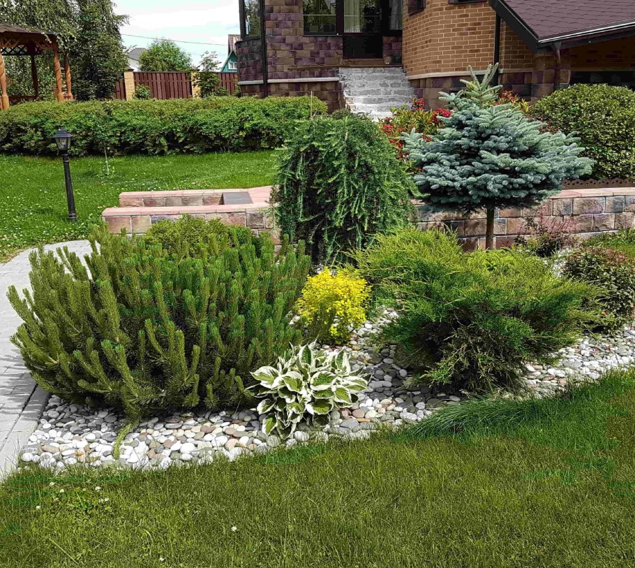 Рокарий с туями