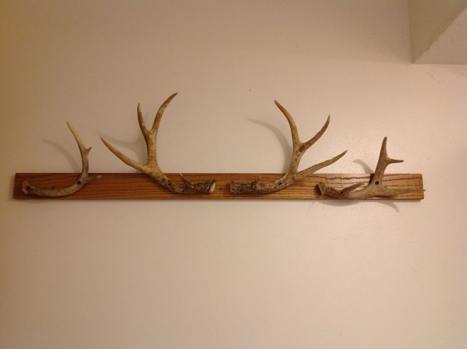 Полка из оленьего рога