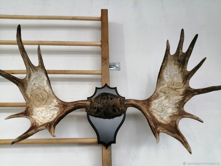 Лосиные рога в интерьере