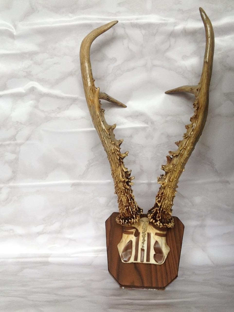 Вешалка из Рогов козла
