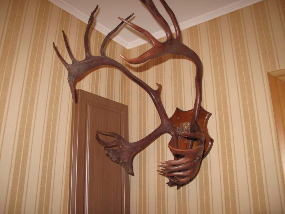 Оленьи рога на стене