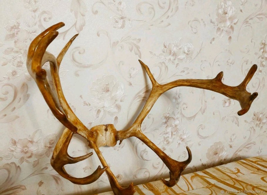 Оленьи рога в интерьере