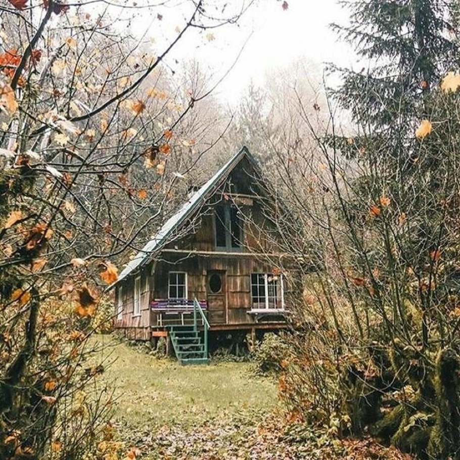 Осенью на даче