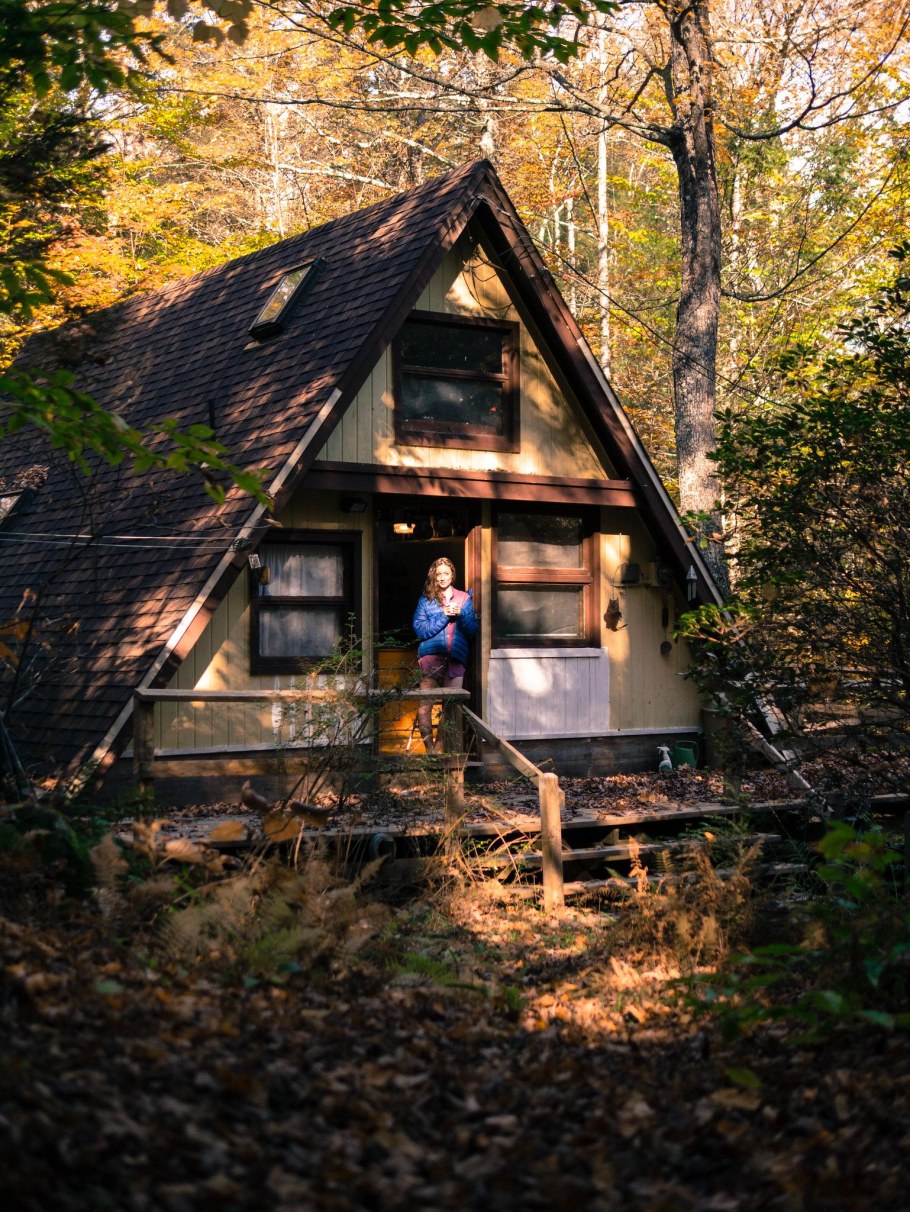 Уединенные домики в лесу