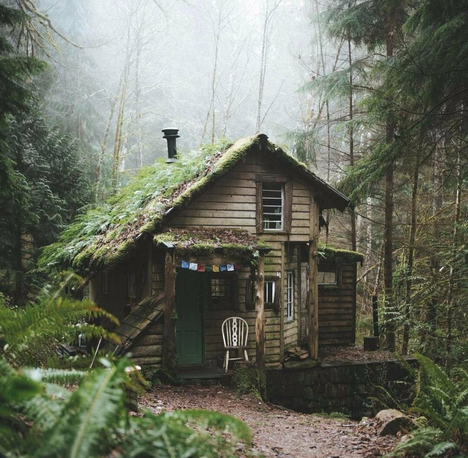 Друскининкай лес избушка