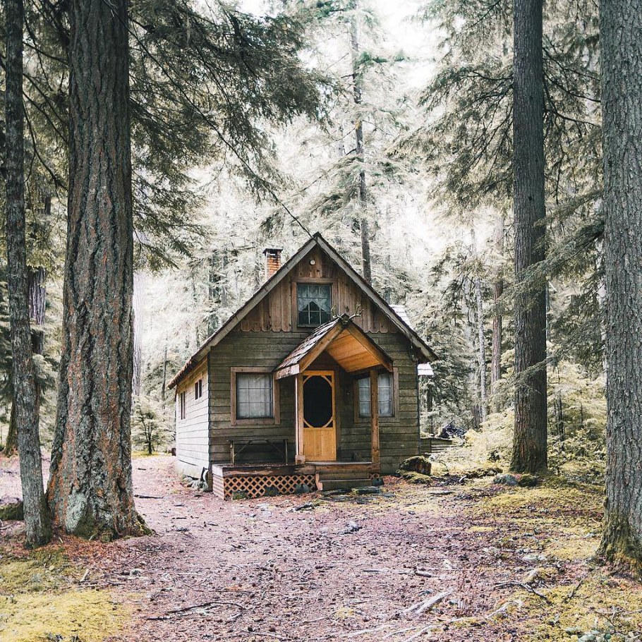 In the Cabin Woods Хижина в лесу Cabin