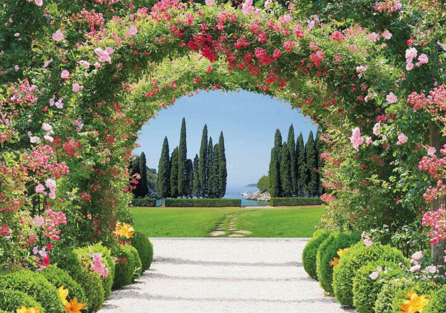 Цветочные арки в саду