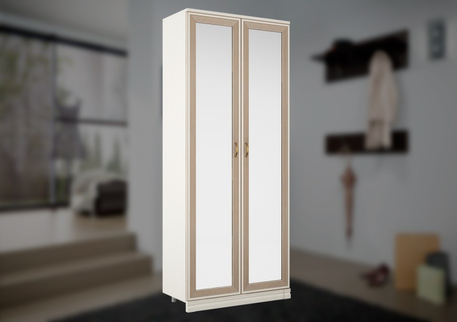 Шкаф Василиса Сомово