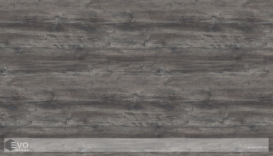 H1486 st36 сосна Пасадена