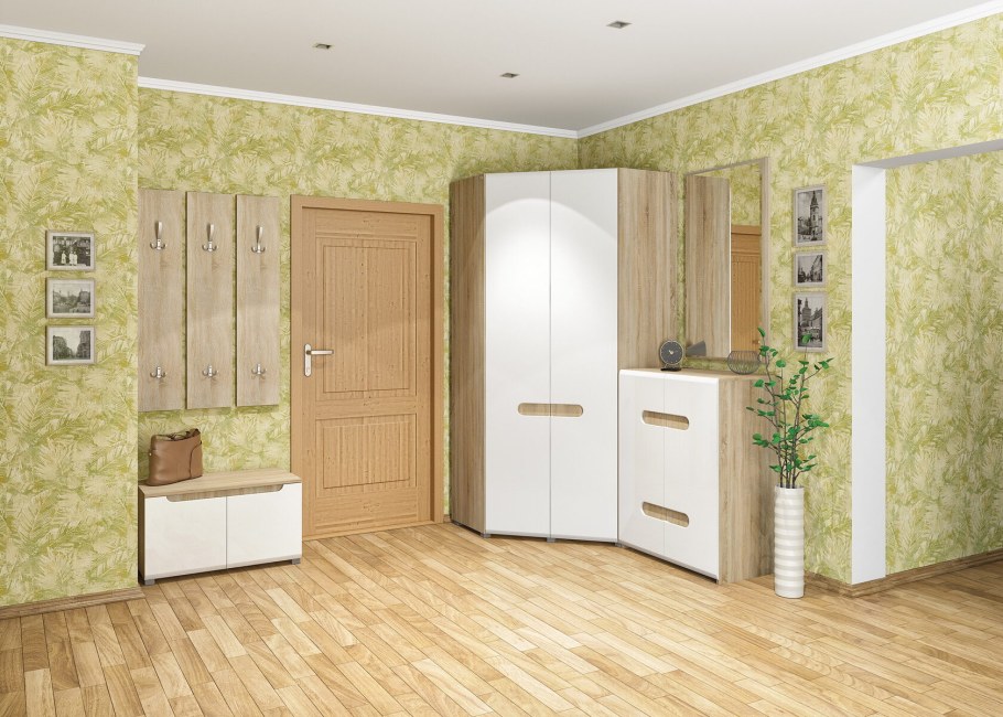 Стенка Леонардо Неман