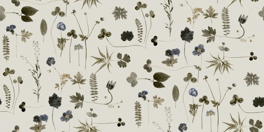 Обои Eco simplicity 3662