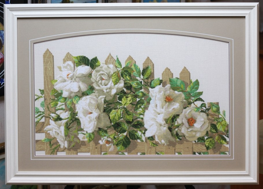 Риолис вышивка розы на заборе