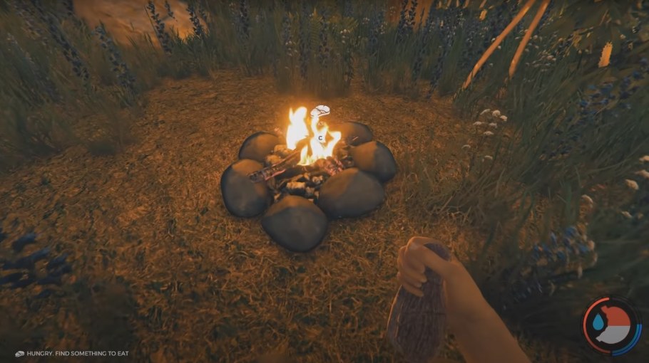 Бесконечные вещи в the Forest