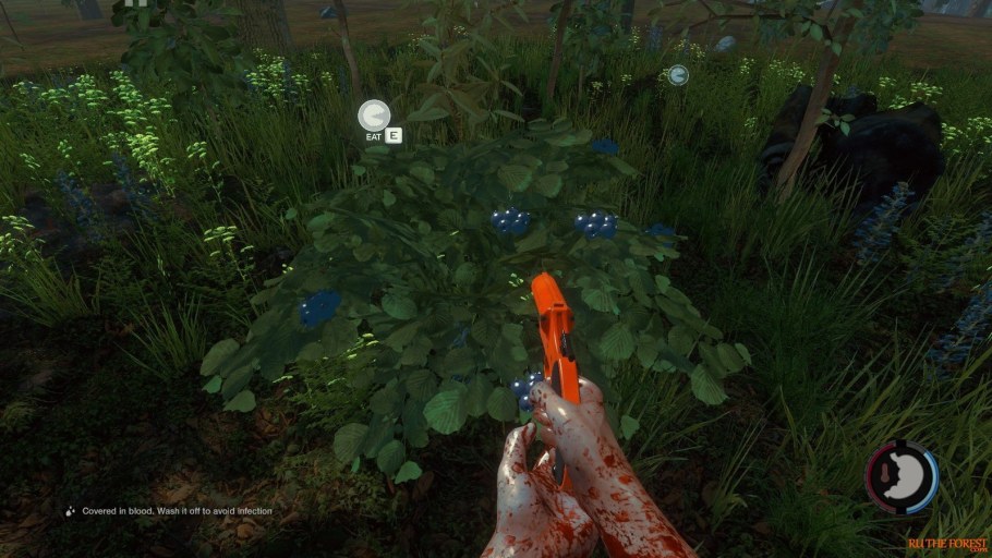 Часы зе Форест