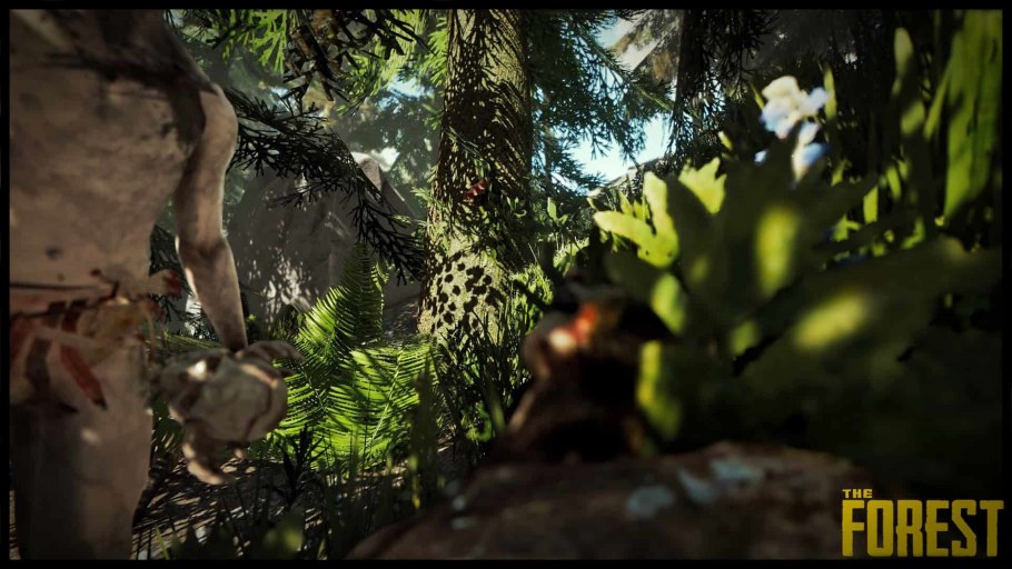 The Forest фото