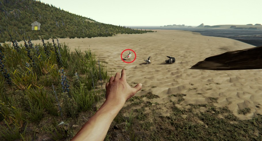 The Forest прицел