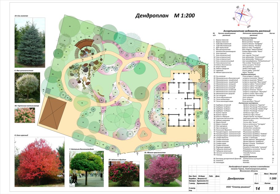 Дендро план приусадебного участка