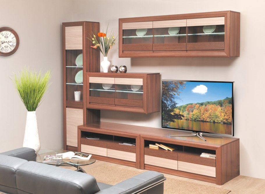 Стенка Камелия Олмеко