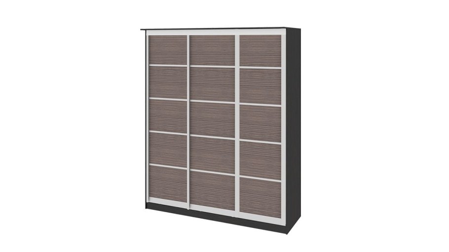 Шкаф купе Стэн ТРИЯ Я