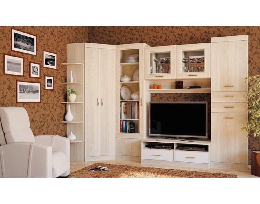 Стенка Ника Заречье