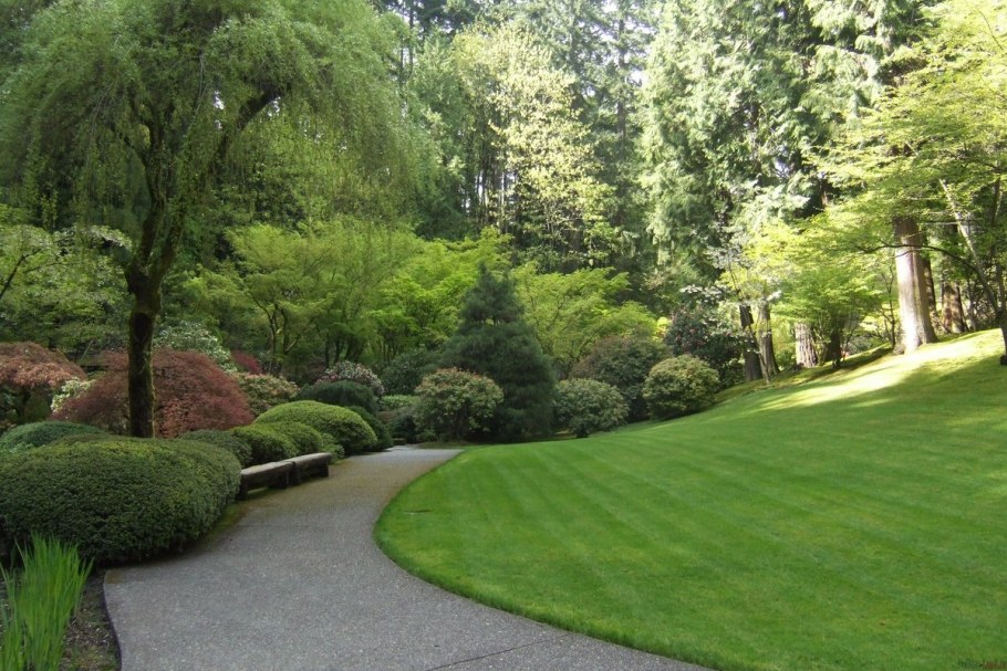 Хелен парк+ ландшафт