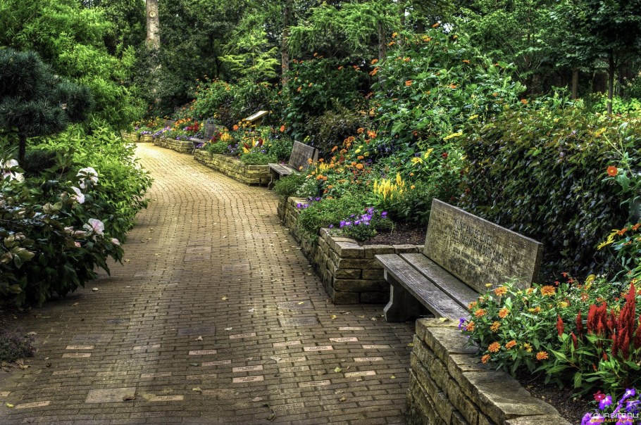 Аллея в саду