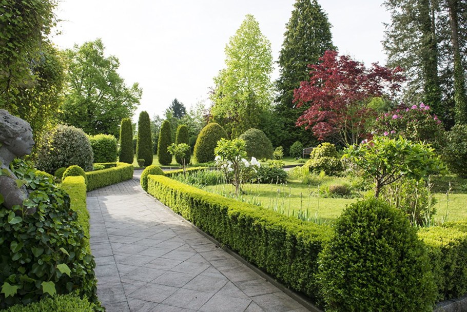 Живая изгородь французский парк Палисад Версаль