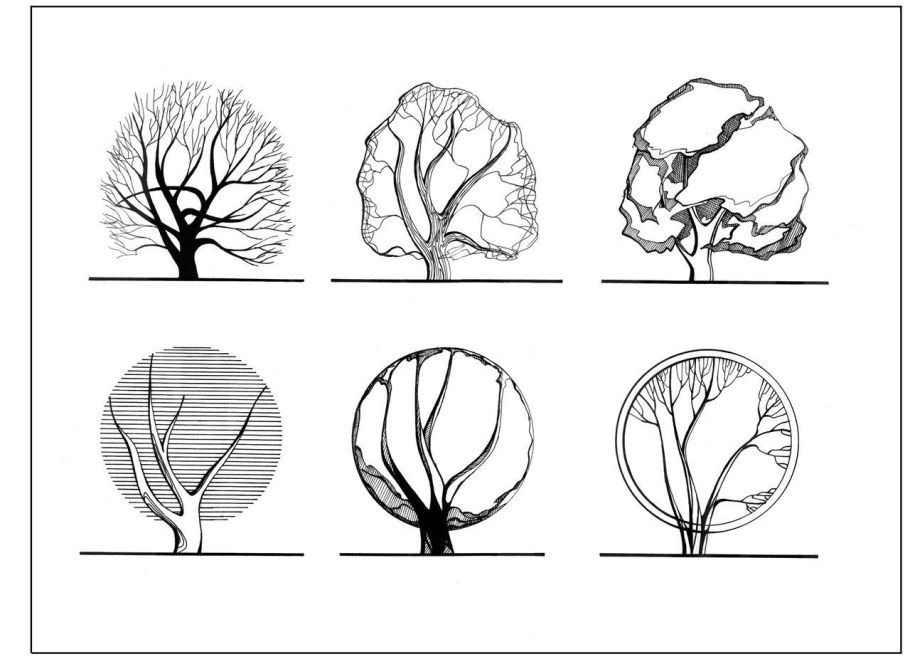 Архитектурный антураж деревья