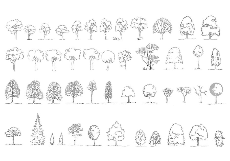 Архитектурная Графика кусты