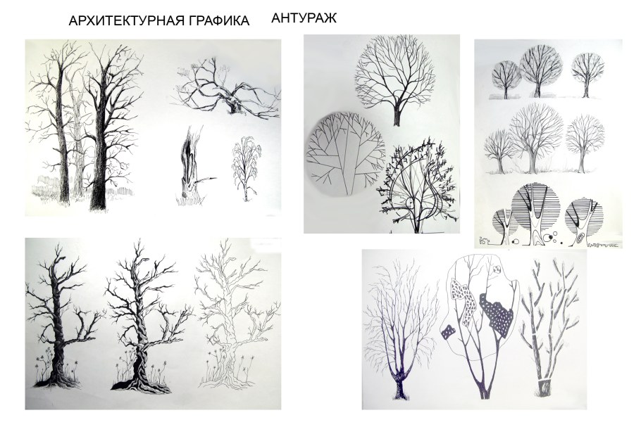 Изображение дерева в графике