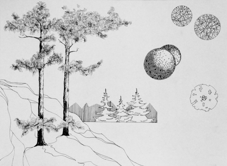 Антураж стаффаж деревья