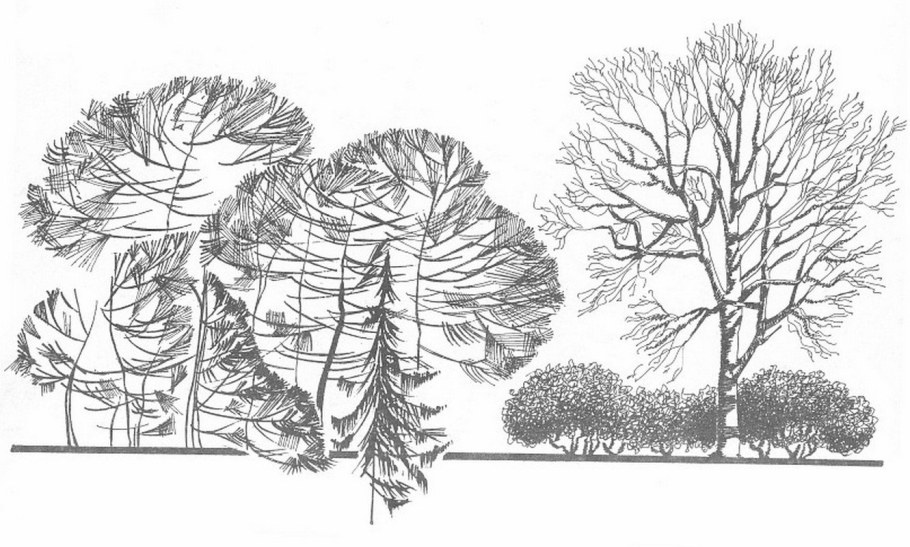 Антураж деревья отмывка