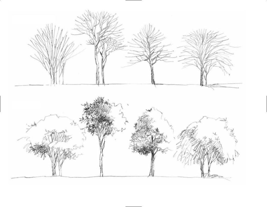 Архитектурные деревья