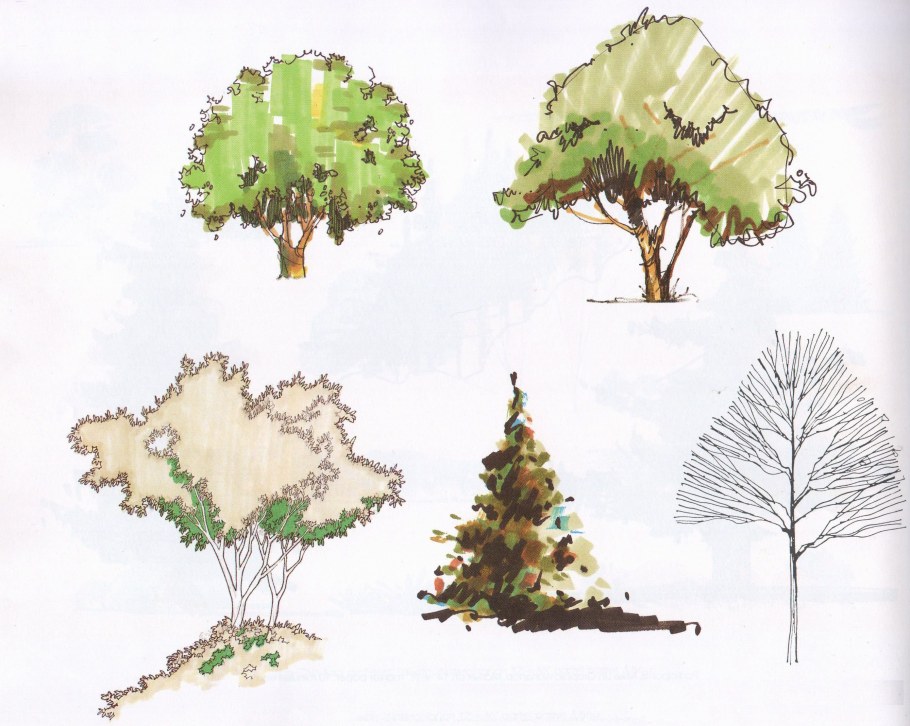 Дерево скетч