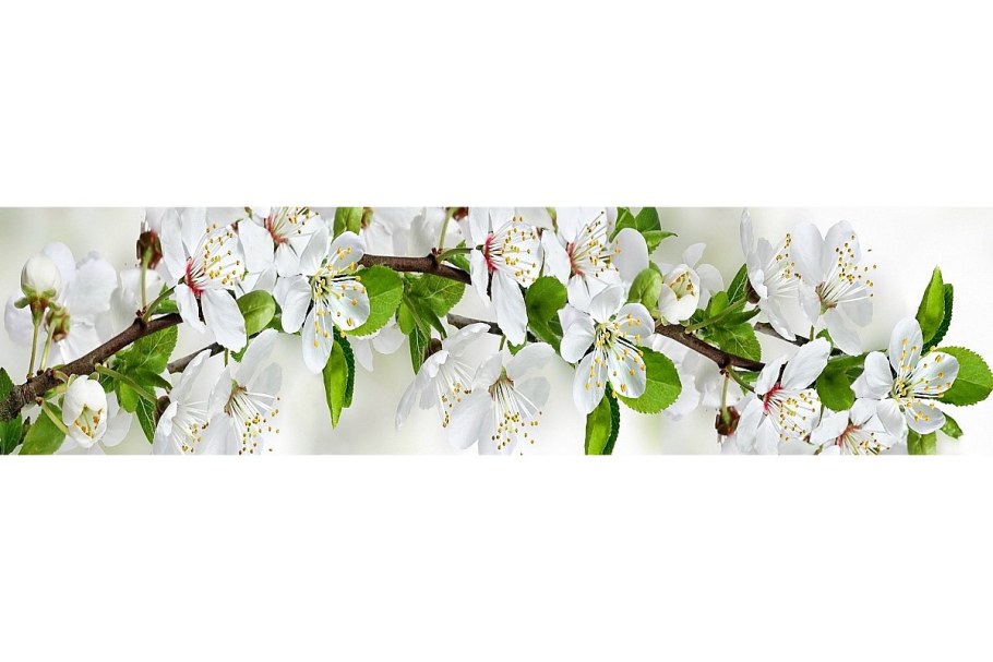 Стеновая панель для кухни цветы