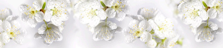 Светлые цветы панорама