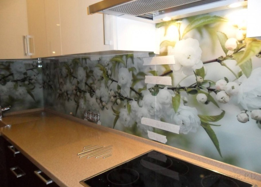 Стеклянный фартук для кухни с ветками