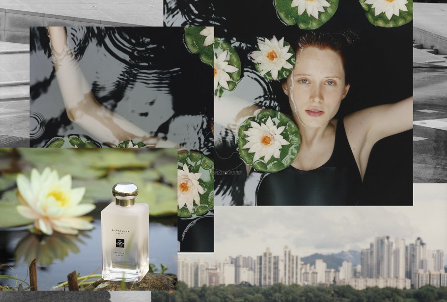 Коллекция Джо Сеттона