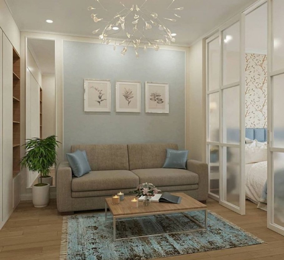 Спальня-гостиная с зонированием17м