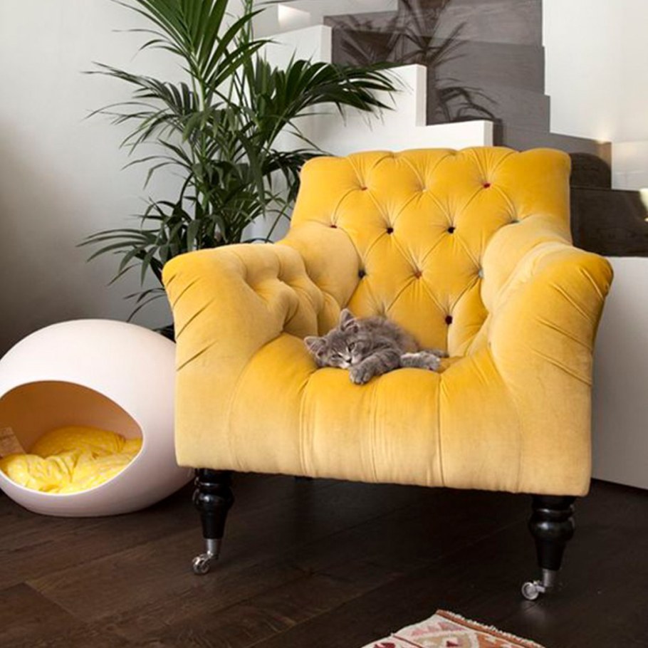 Шикарные кресла в гостиную