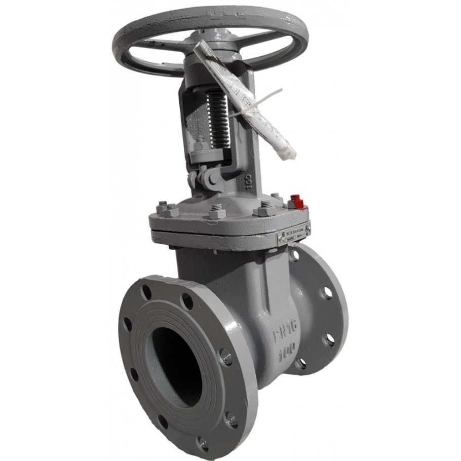 Задвижка 30с41нж ду100 ру16