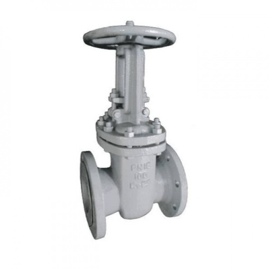 Задвижка чуг. 30(31)Ч6бр Ду 100