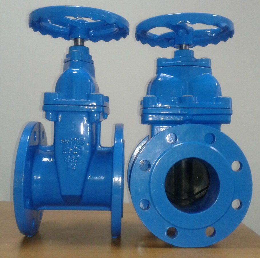 Задвижка чугунная фланцевая dn50 pn10