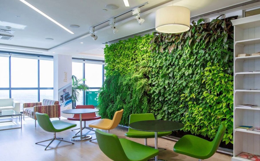 Green Sky фитостены