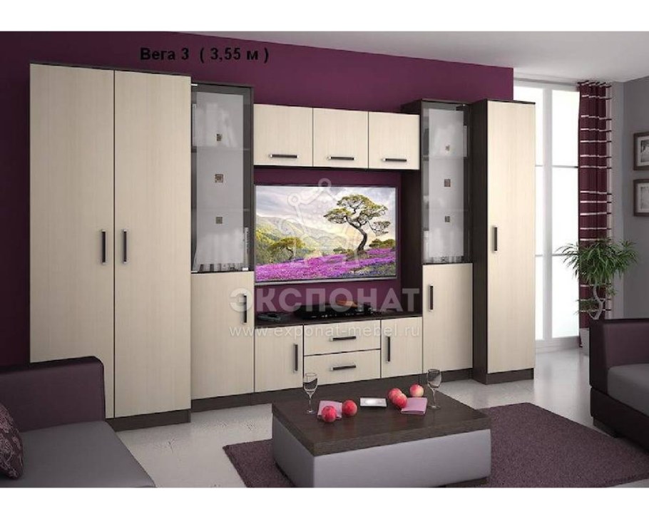 Стенка Вега 2 РИИКМ