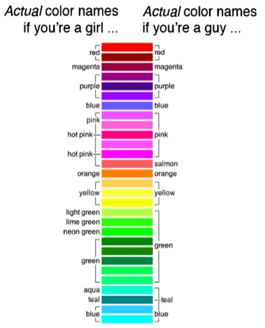 Мужские и женские цвета