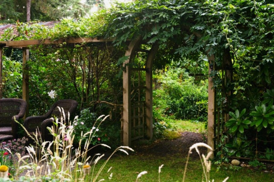 Зонирование участка перголами