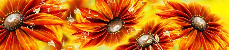 Фартук для кухни «герберы»