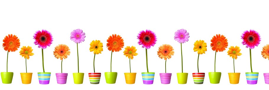 Фартук для кухни «герберы»