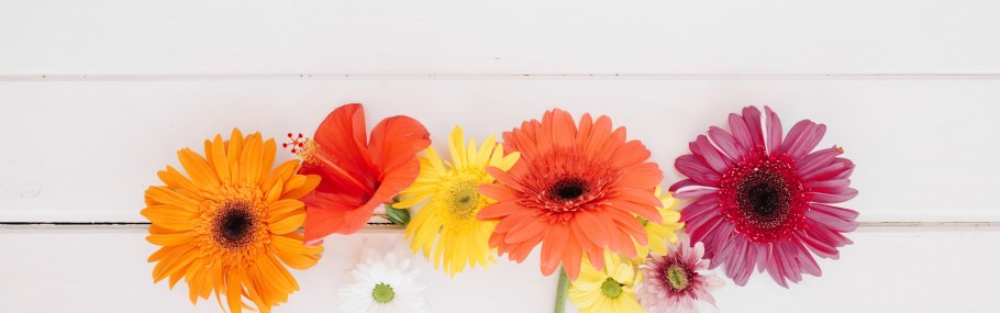 Фон с герберами по краям